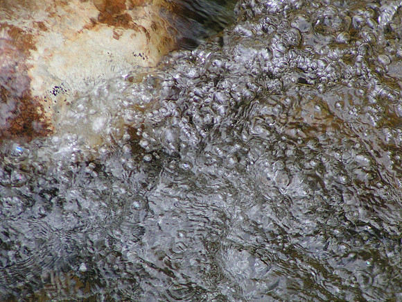 PICT6239