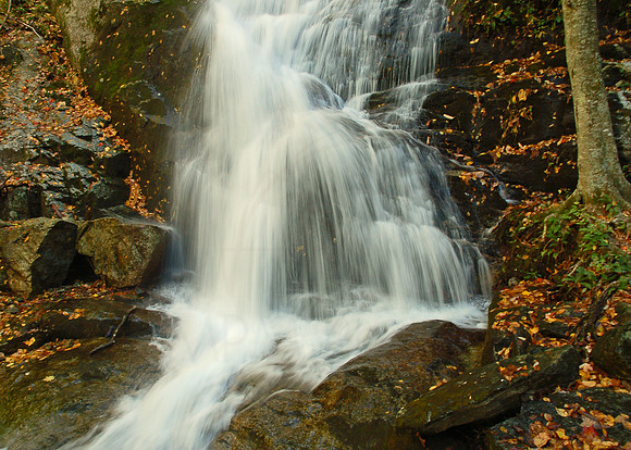 DSC_6750_e_57