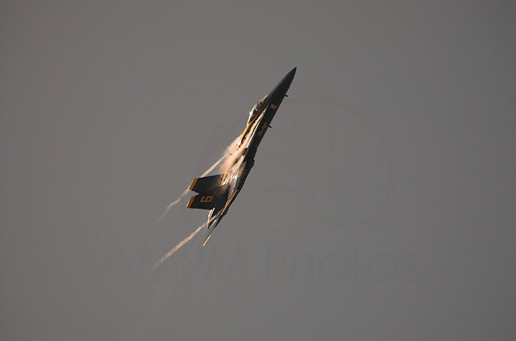 DSC_7970-01