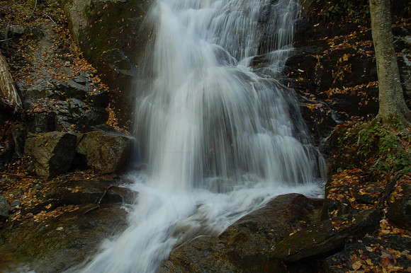DSC_6750