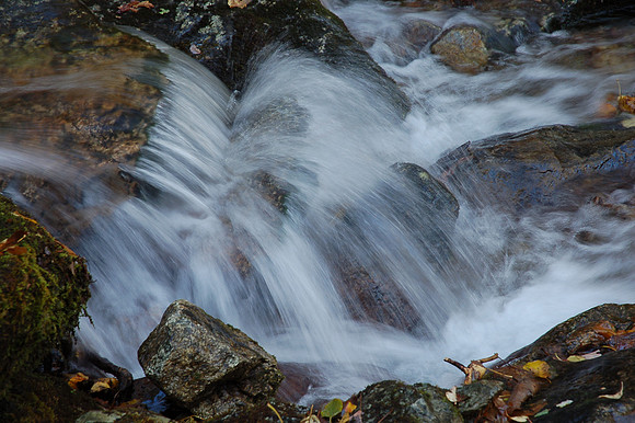 DSC_6884