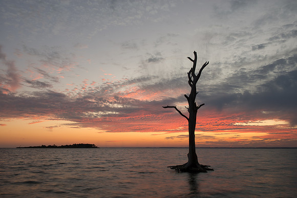 DSC_5151-Edit-Edit-2