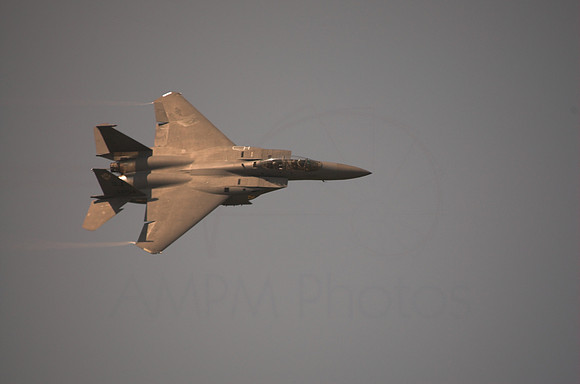 DSC_7413-01