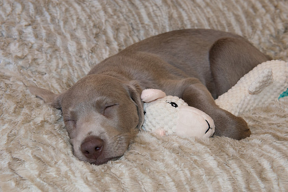 DSC_0425
