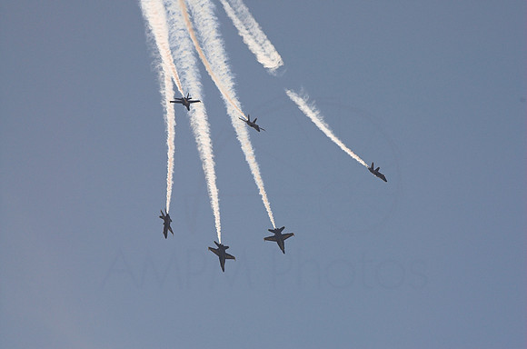 DSC_7985-01