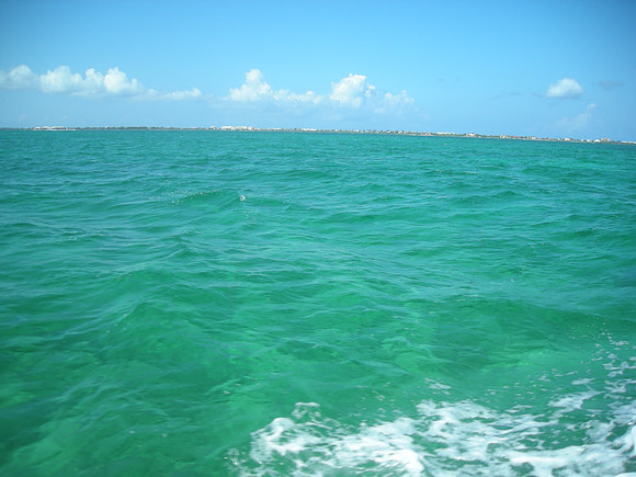 DSCN1594