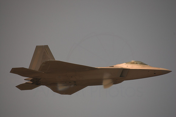 DSC_7503-01