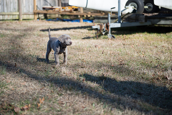 DSC_0513