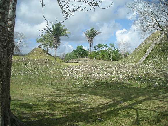 DSCN1737