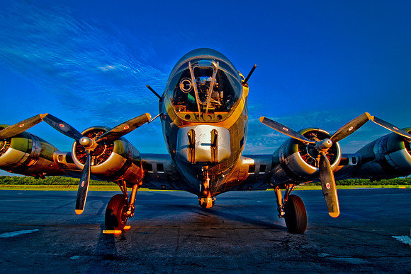 Blue Belle