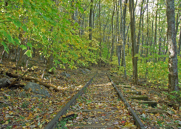 DSC_6895_e_57