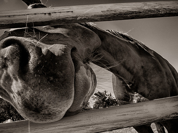 P1190545_HDR-Edit