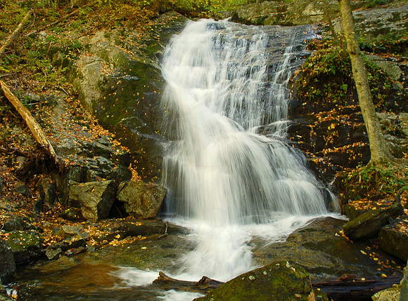 DSC_6735_c_e