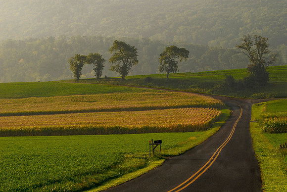 Country Roads