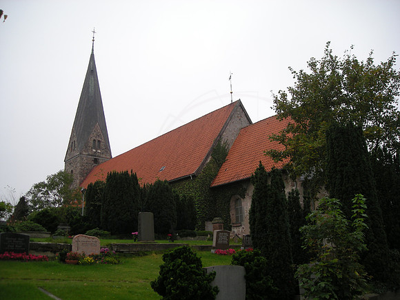 DSCN0334