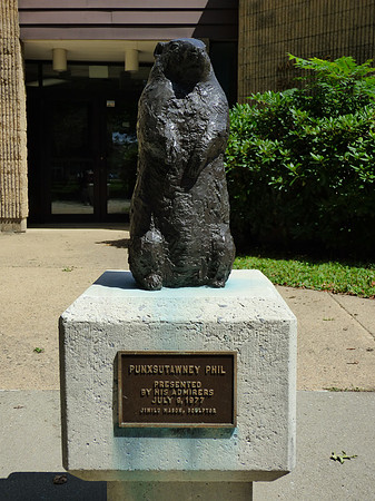 Punxsutawney Phil