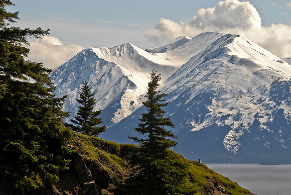 Beauty Abound