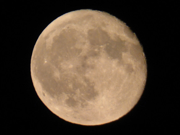 P1020429