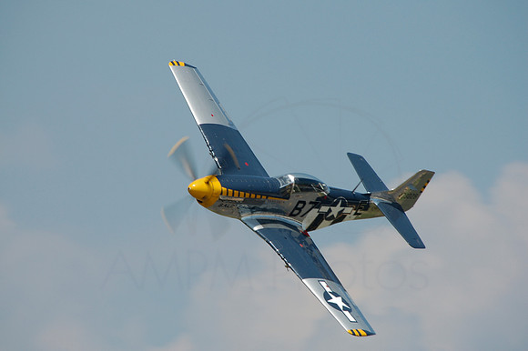 P-51 Mustang (Bald Eagle)