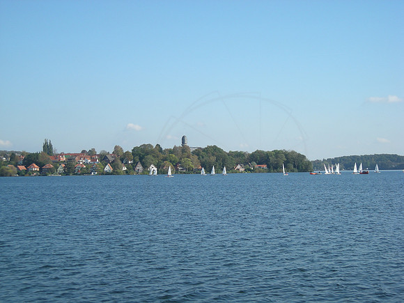DSCN0368
