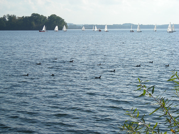 DSCN0372