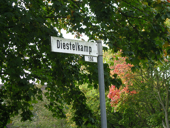 DSCN0441