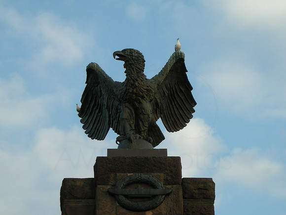 DSCN0386