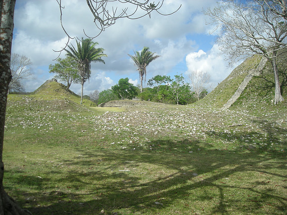 DSCN1738