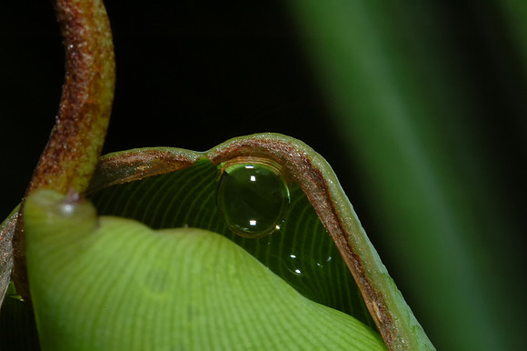 DSC_0107-Edit-Edit