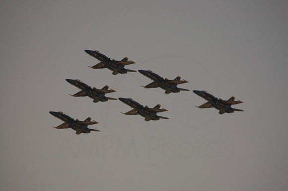 DSC_7978-01