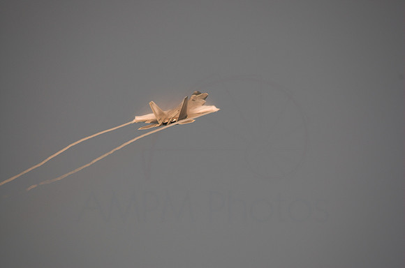 DSC_7505-01
