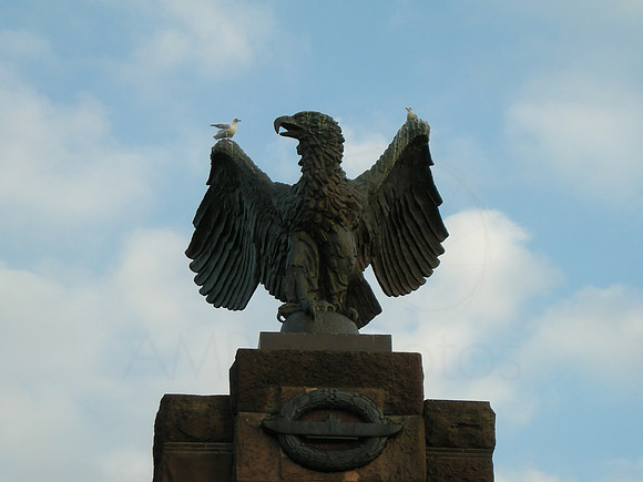 DSCN0385