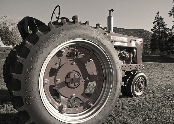 DSC_6822_e_57_bw