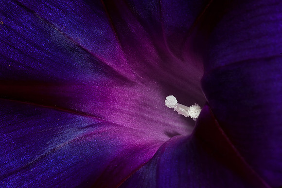 DSC_6292-Edit-Edit