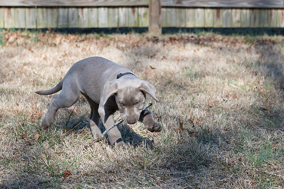 DSC_0632