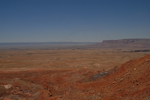 DSC_4436