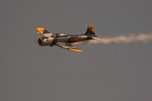 DSC_6993-01