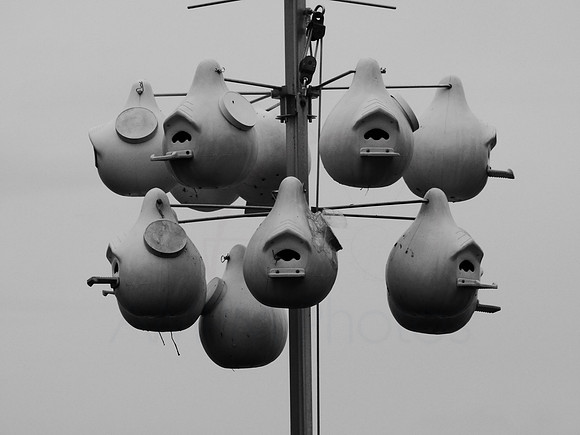P1100340