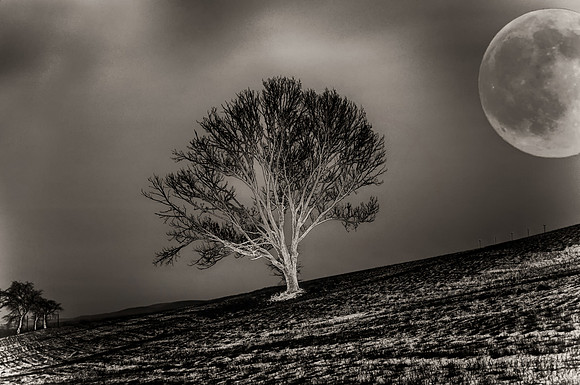 D3H_6422_e_bw_db2-2_HDR-Edit-Edit