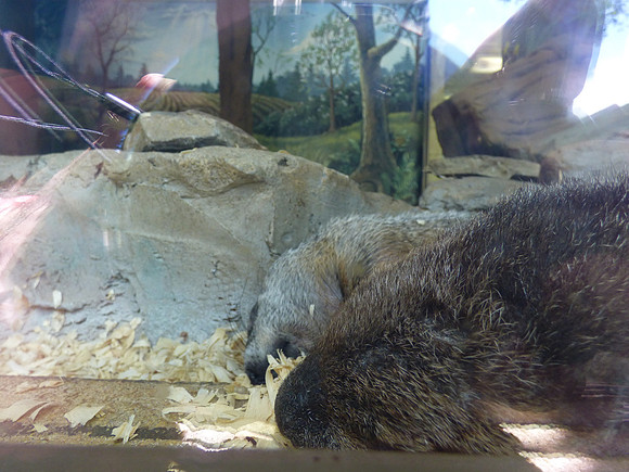 P1020401